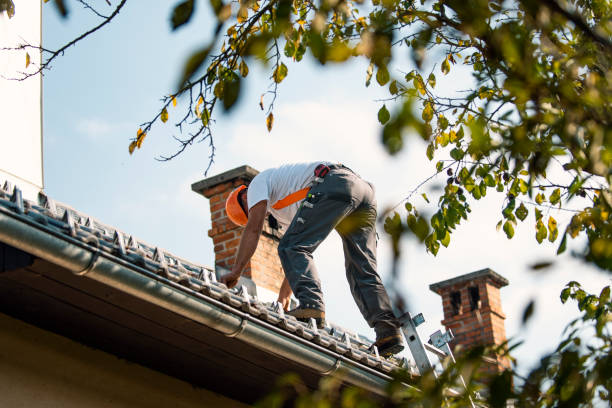 Best Roof Replacement Cost  in Palisades Park, NJ