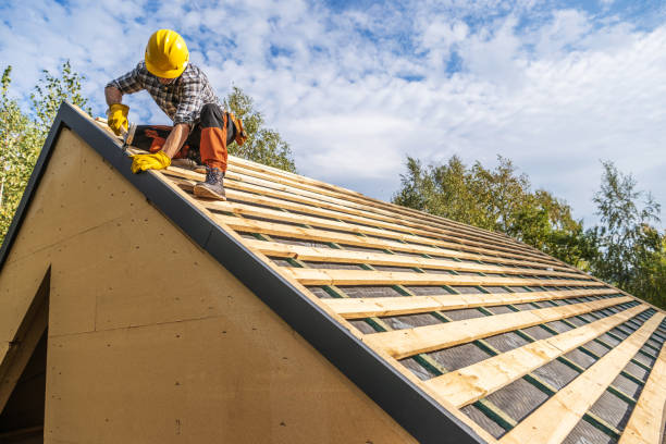 Best Roof Gutter Cleaning  in Palisades Park, NJ