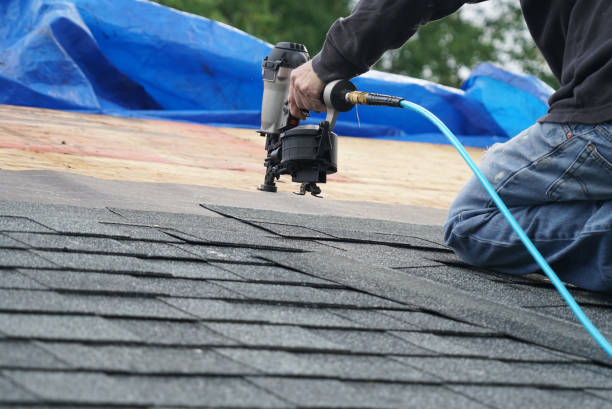 Best Shingle Roofing Installation  in Palisades Park, NJ