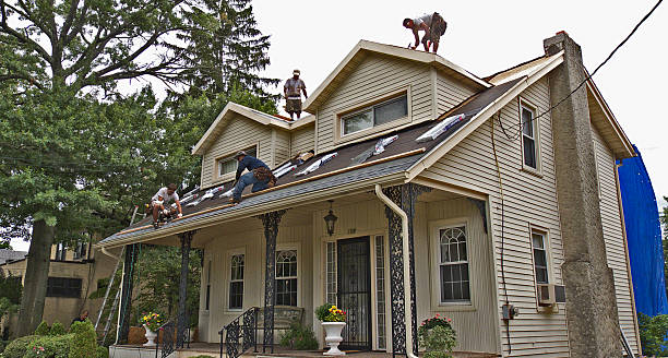 Best Roof Waterproofing Services  in Palisades Park, NJ
