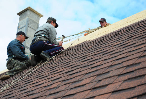Best Roof Gutter Cleaning  in Palisades Park, NJ