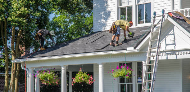 Best Best Roofing Contractors  in Palisades Park, NJ