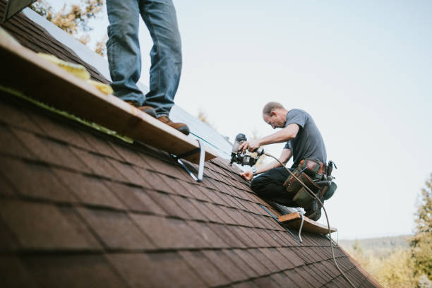 Best Shingle Roofing Installation  in Palisades Park, NJ
